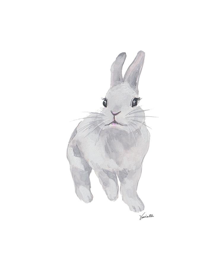 Rabbit Drawing - Cotton Bun by Venie Tee