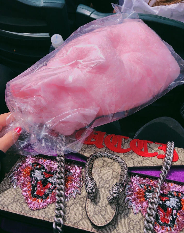 Cotton Candy and Gucci Purse Photograph by Hannah Riley