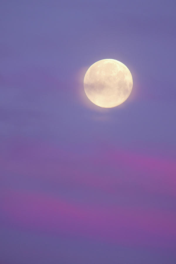 Cotton Candy Moon Photograph by Brook Burling