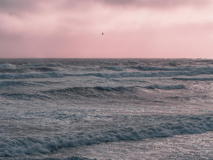 Nature Photograph - Cotton Candy Seascape by Katlyn Reynolds