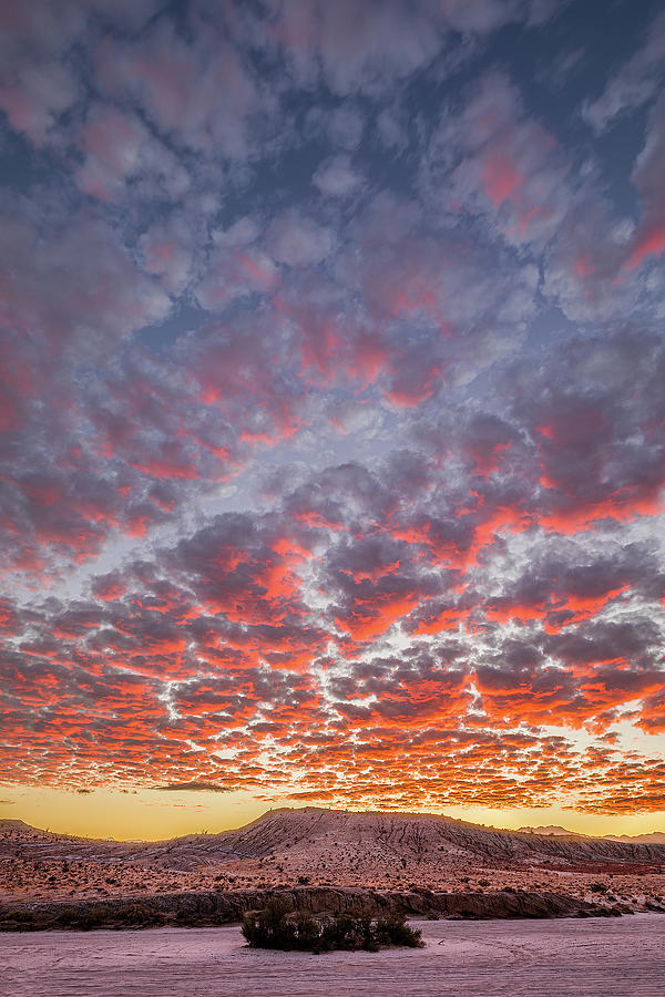 Cotton Candy Skies over the Desert Photograph by Peter Tellone