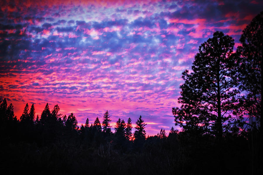 Cotton Candy Sunset Photograph by Melanie Lankford Photography