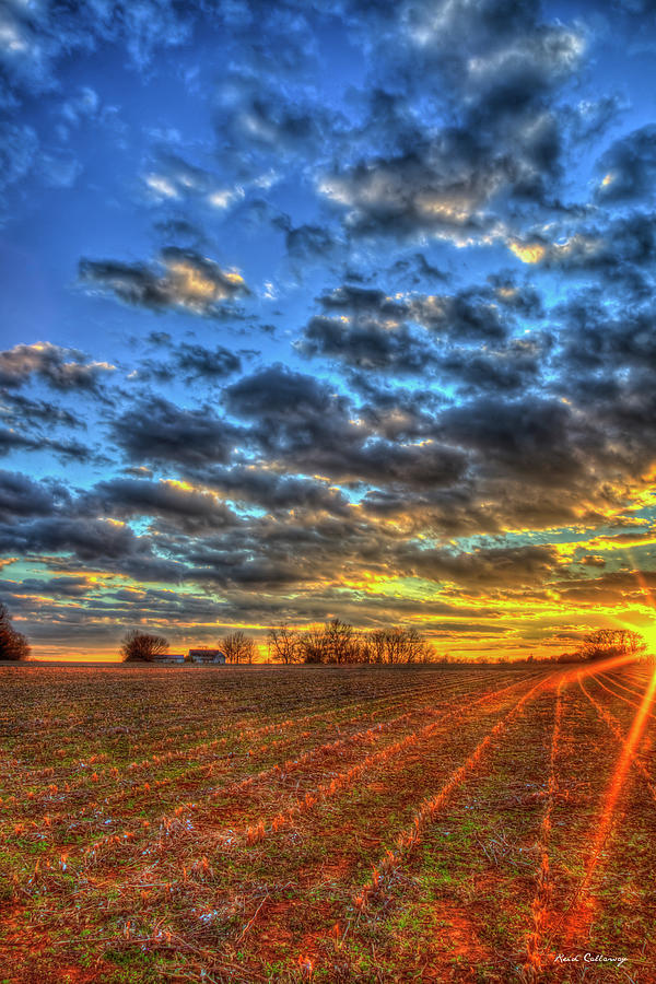 Athens GA Cotton Field Sunset Gone With The Wind Oconee County Farming ...