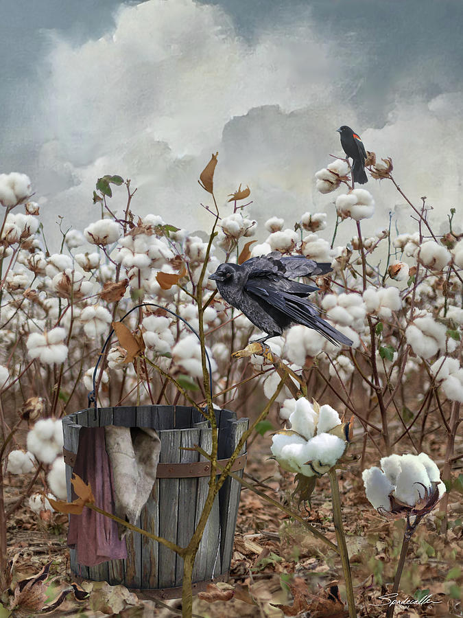 Cotton Plantation Digital Art by M Spadecaller