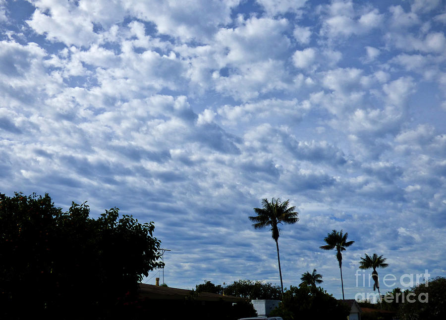 Cotton Puff Morning Clouds Photograph
