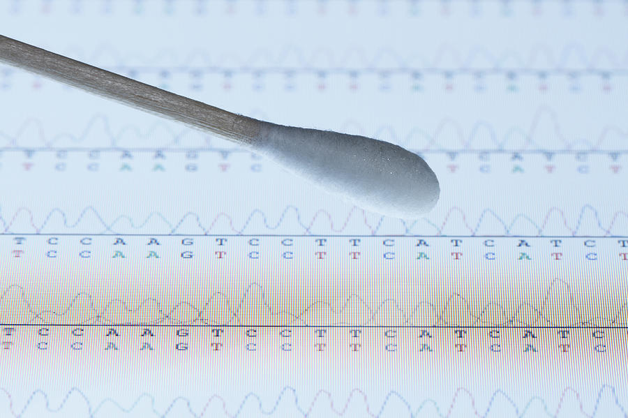 Cotton swab with saliva sample over the screen of a tablet computer that displays results of automated DNA sequencing Photograph by GIPhotoStock