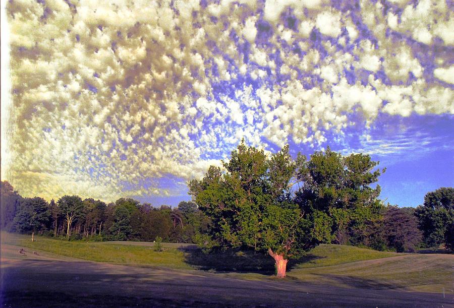 Cottonball Clouds on Golf Course Photograph by Stacie Siemsen