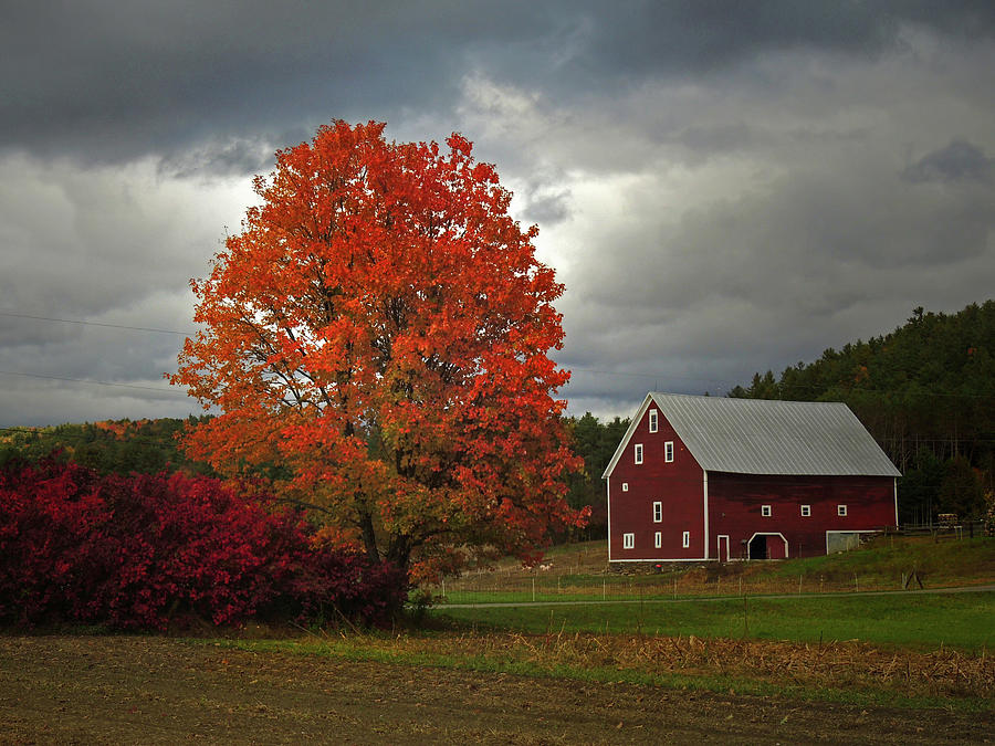 Cottonstone Farm in Orford New Hampshire Photograph by Nancy Griswold