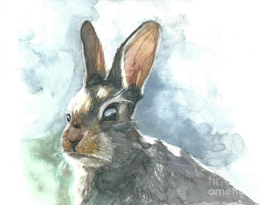 Cottontail Rabbit Painting by Pamela Schwartz