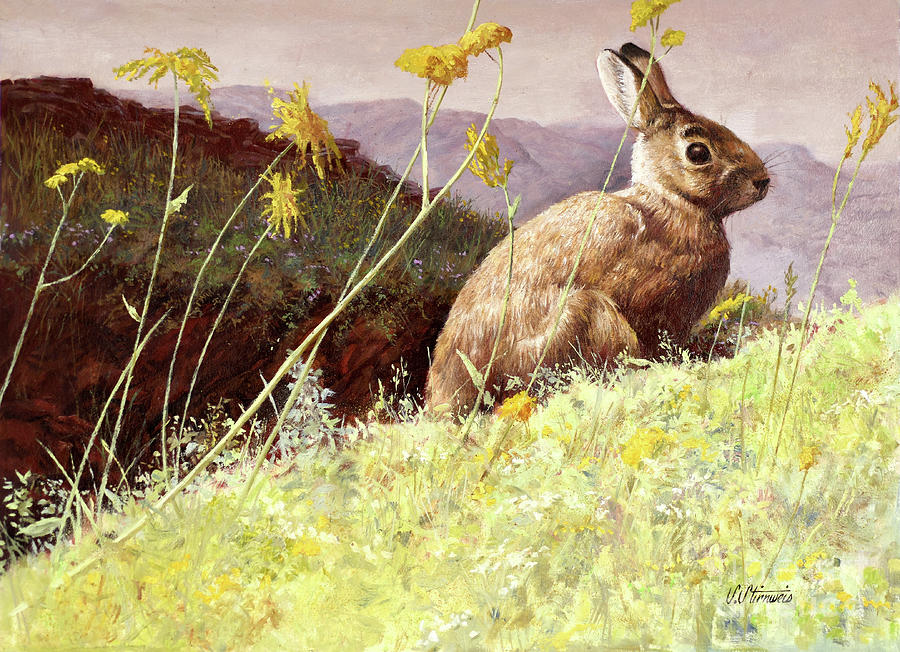 Cottontail Rabbit Painting by Shannon Stirnweis