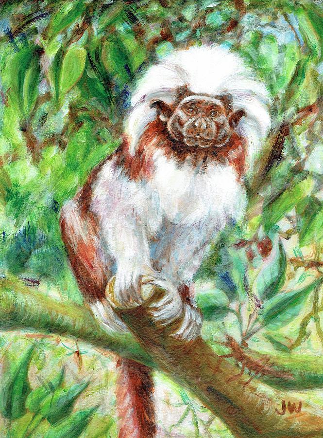 Cottontop tamarin monkey Painting by June Walker