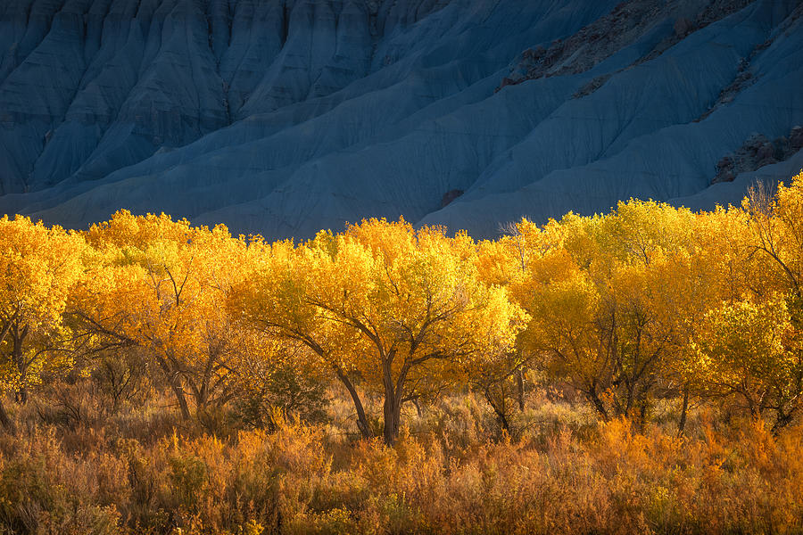 Cottonwood Blues Photograph by Ryan Smith