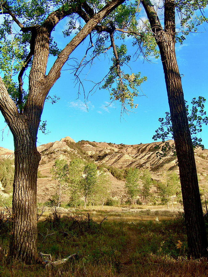 Roughing It in Paradise: Your Guide to Cottonwood Campground, Theodore Roosevelt National Park