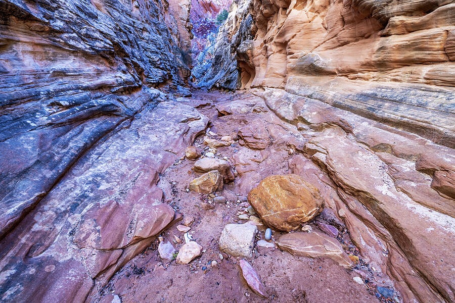 Nature Photograph - Cottonwood Canyon Narrows II by James Marvin Phelps