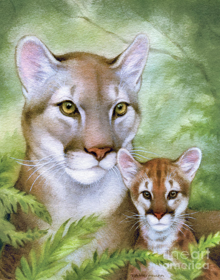 Mountain Lion and Cub Painting by Tracy Herrmann