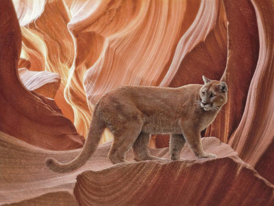 Cougar Canyon Painting by Collin Bogle