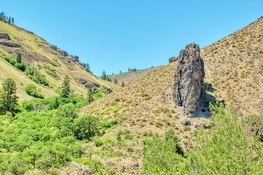 Cougar Canyon Rock Photograph by Loyd Towe Photography