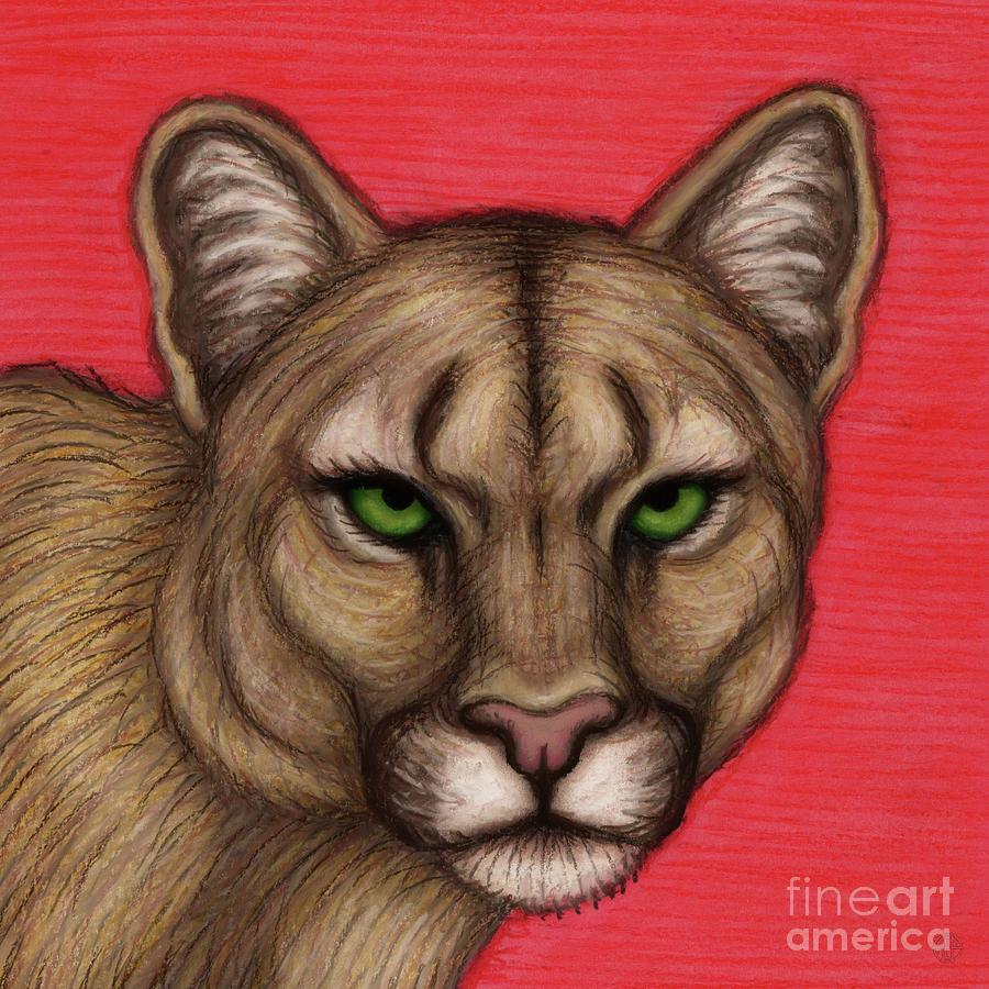 Cougar Glare Painting by Amy E Fraser