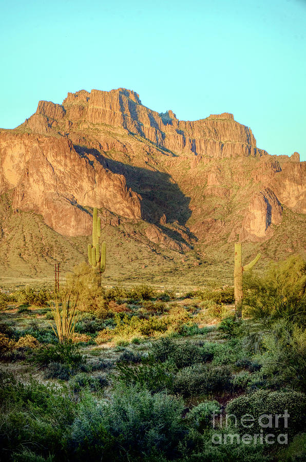 Cougar Shadow on Superstition Mountains Photograph by Jill Battaglia