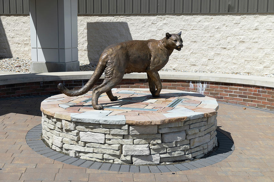 Cougar statue at Spring Arbor University Photograph by Eldon McGraw