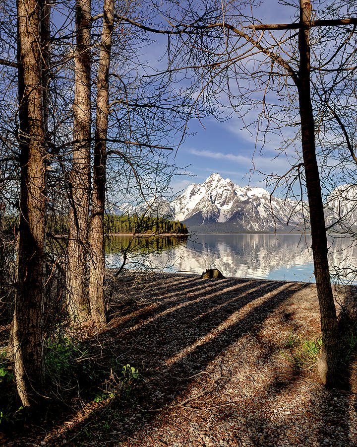 Coulter Bay at Grand Teton National Park Photograph by Jack Bell