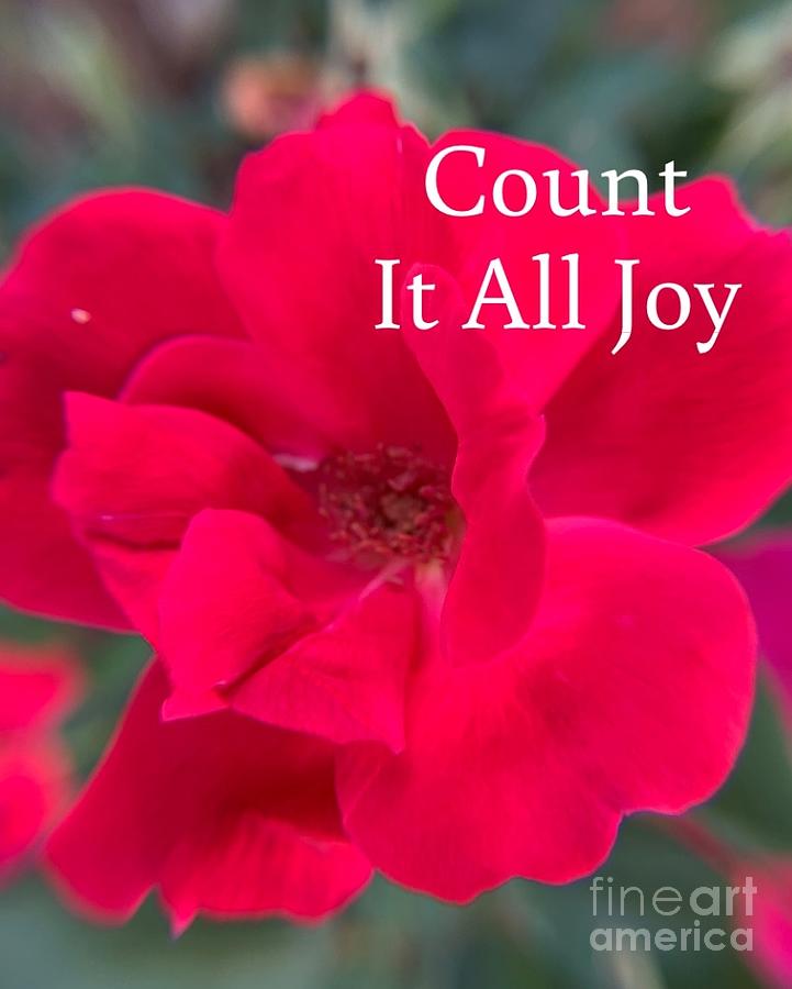 Count It All Joy Photograph by Catherine Wilson