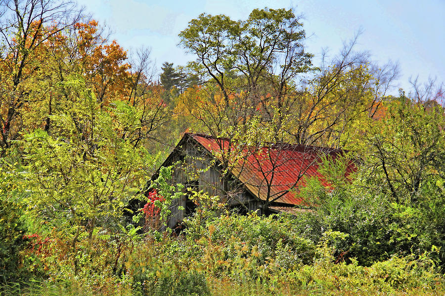 Country Barn - Almost Gone by H H Photography of Florida Photograph by HH Photography of Florida