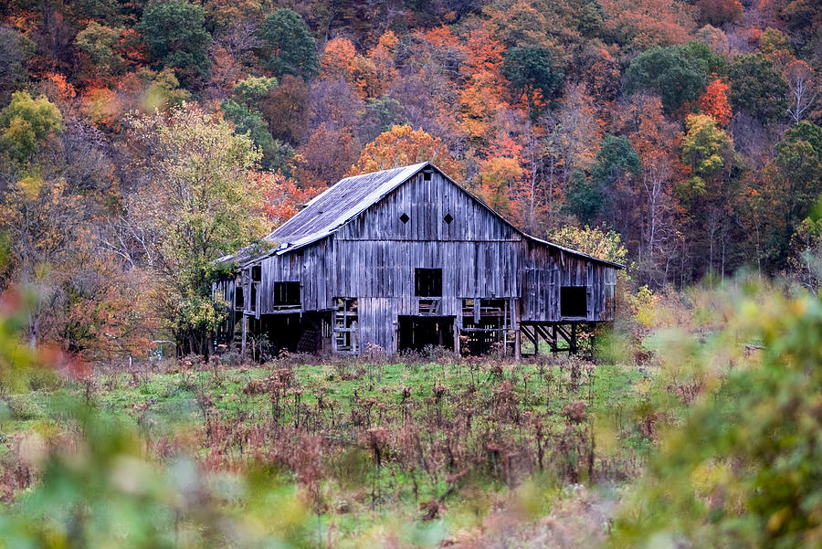 Country Barn Photograph by Evan Foster