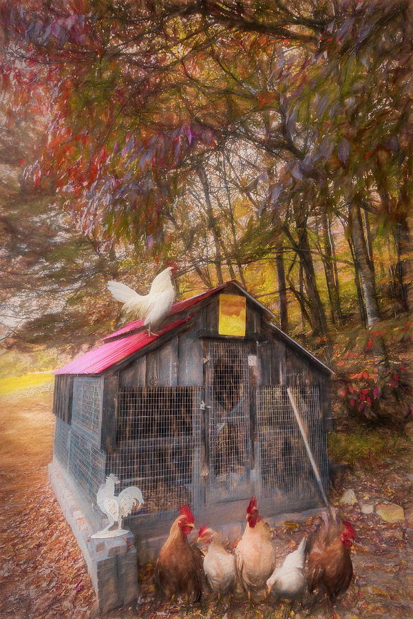 Country Chicken Coop Oil Painting Photograph by Debra and Dave Vanderlaan