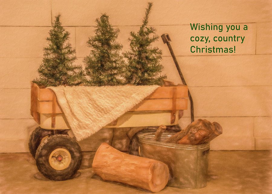 Country Christmas Card Photograph by Marcy Wielfaert