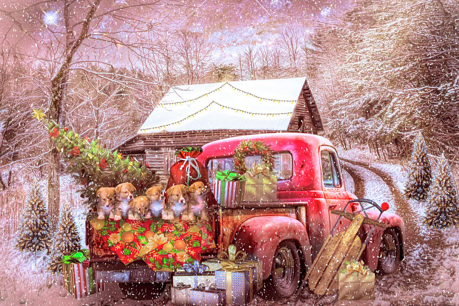 Country Christmas Puppies in the Snow Photograph by Debra and Dave Vanderlaan