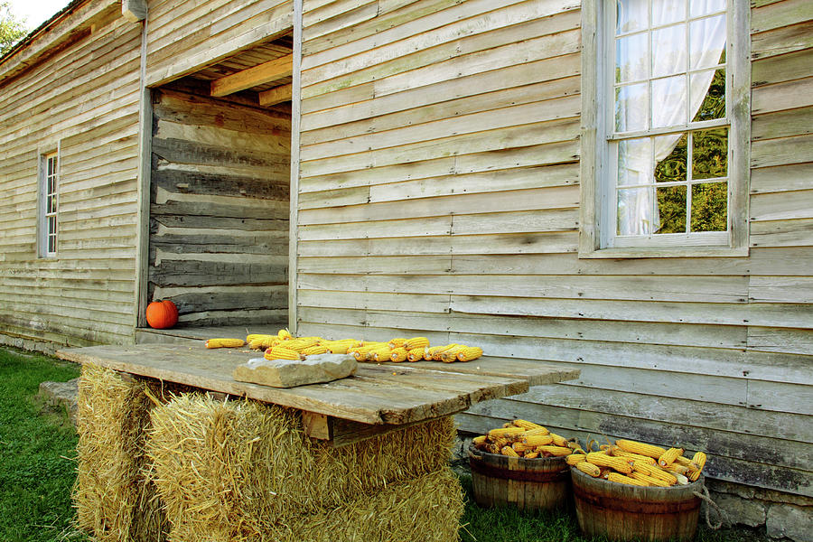 Country Corn  Photograph by Randy Bradley