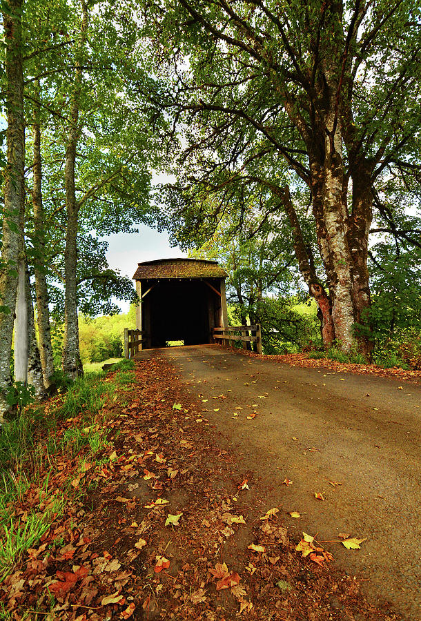 Country Covered Bridge  Photograph by Pamela Patch