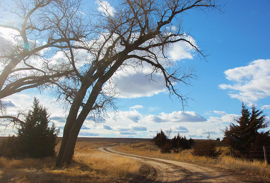 Country Drive Photograph by Shirley Heier