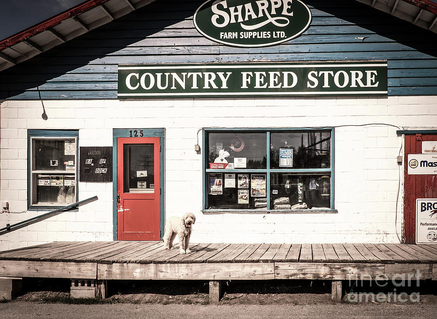 Dog Photograph - Country Feed Store by Robert Alsop