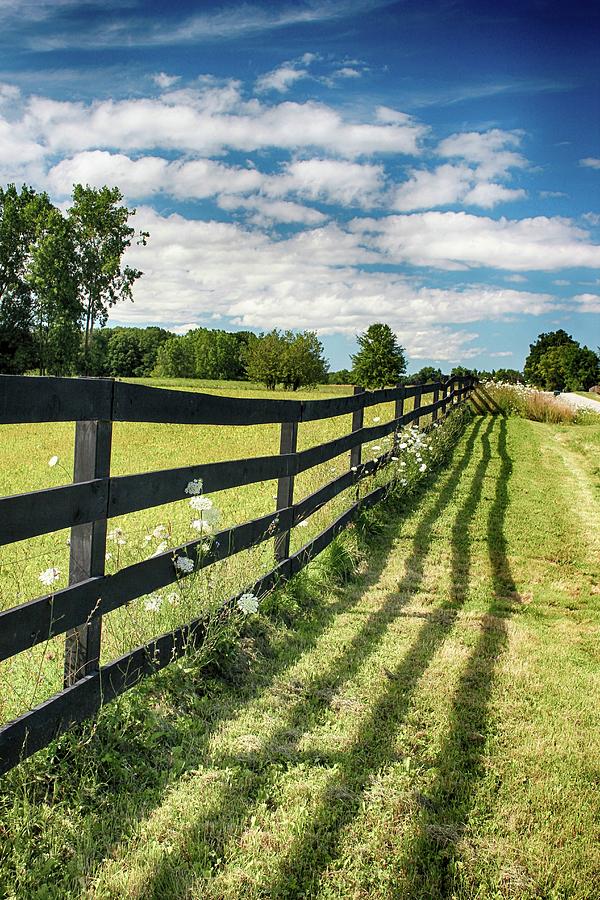 Country Fence Photograph by Mary Bedy