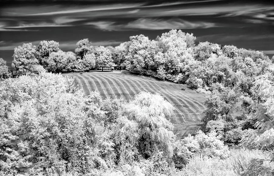 Country Field in Infrared Photograph by Anthony Sacco
