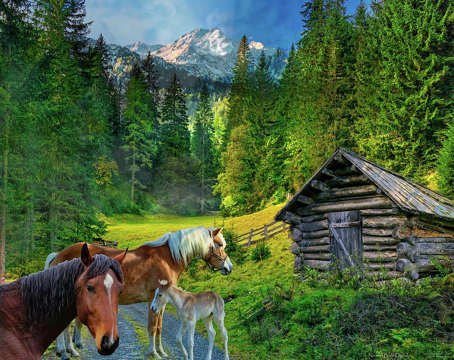 Country Friends Digital Art by Norman Brule