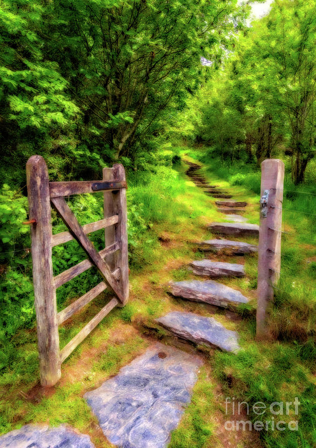 Country Gate Art Photograph by Adrian Evans