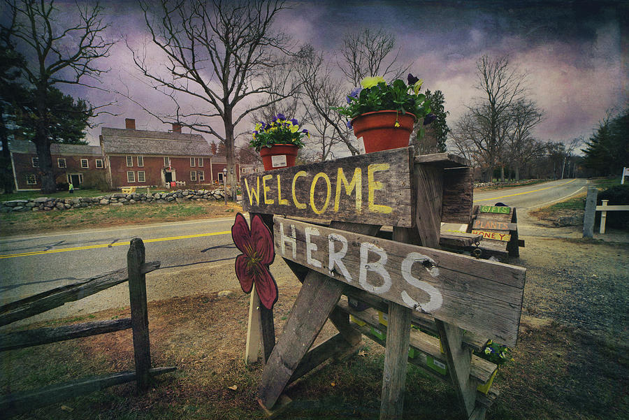 Country Herbs Sign Photograph by Joann Vitali
