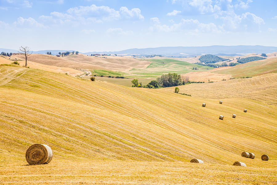 Country in Tuscany Photograph by Perseomed