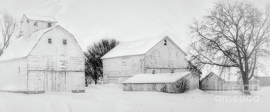Barn Photograph - Country in Winter by Dave Cotton