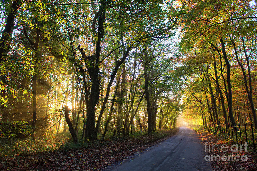 Country Lane in Autumn in the Cotswolds Photograph by Tim Gainey