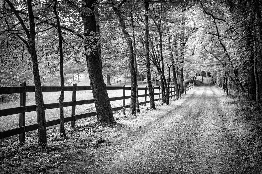 Country Lane in the Summer Mist in Black and White Photograph by Debra and Dave Vanderlaan