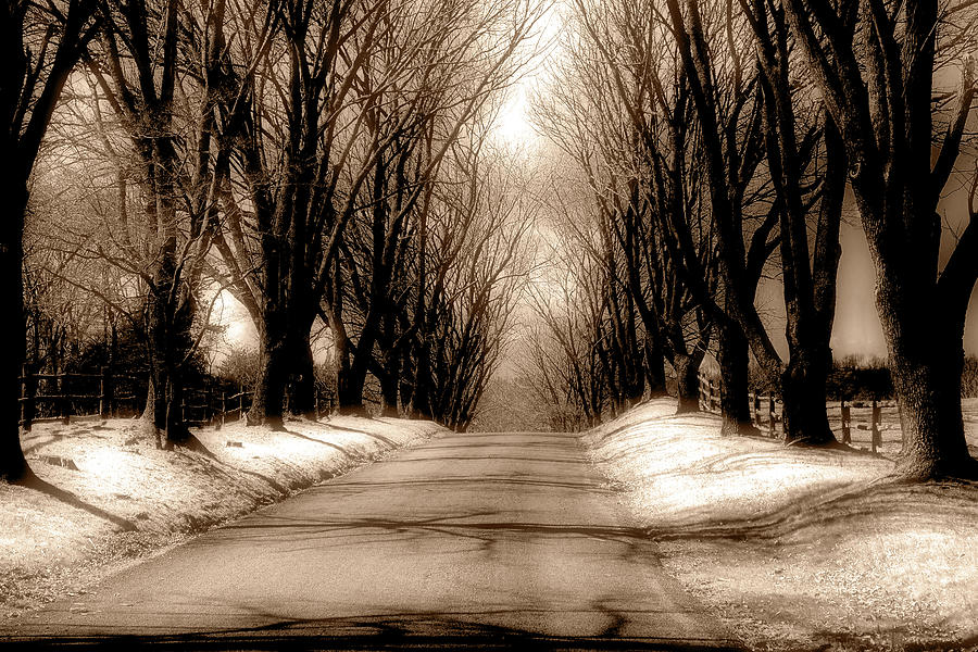 Country Lane on a Cold Day in sepia Photograph by Anthony M Davis