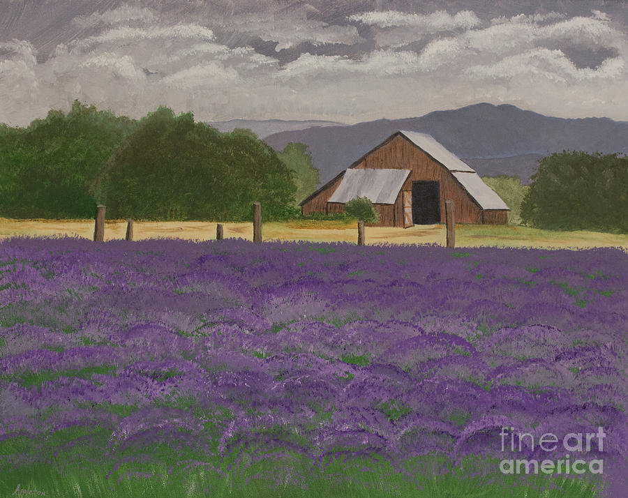 Country Lavender Delight Painting by Norma Appleton