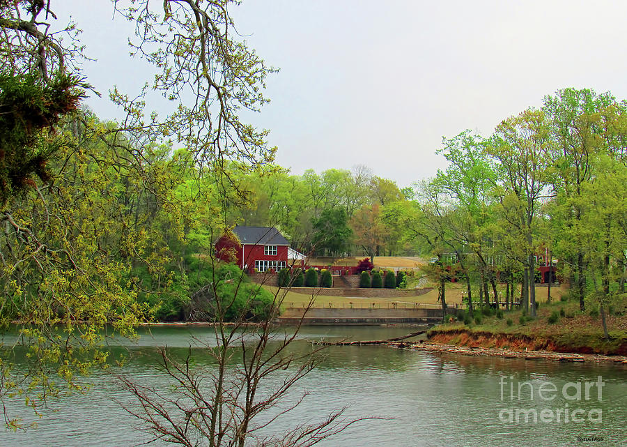 Country Living on the Tennessee River Photograph by Roberta Byram