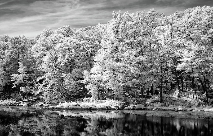Country Pond in Infrared Photograph by Anthony Sacco