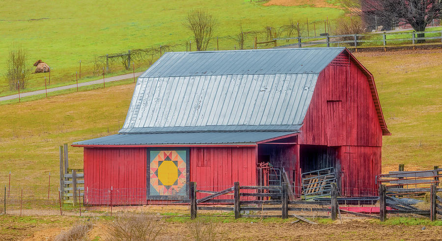 Country Quilt Barn in Tennessee Photograph by Marcy Wielfaert