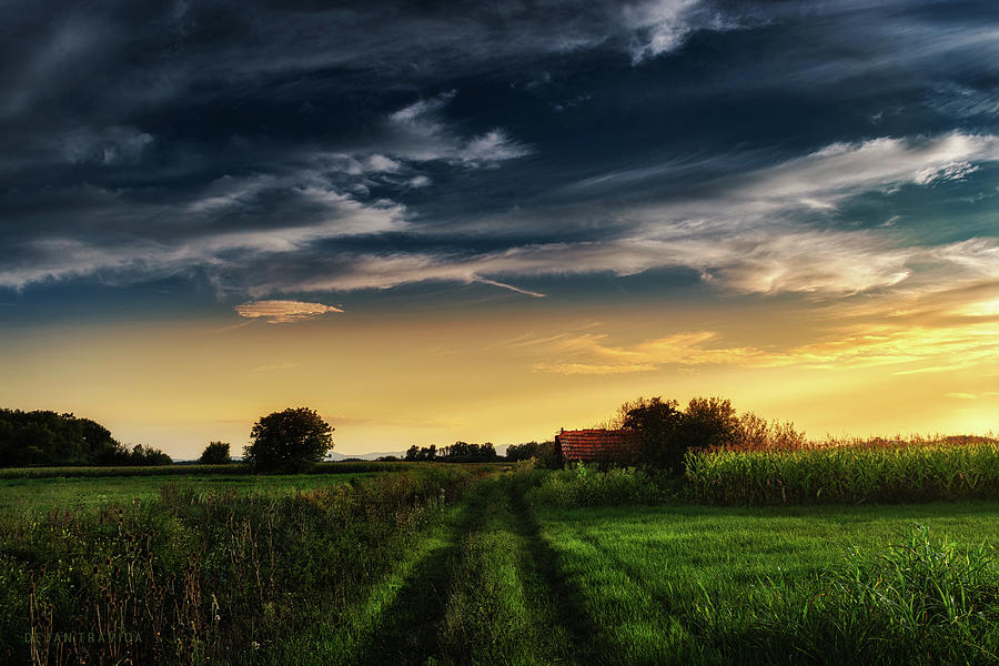 Country road at sunset Photograph by Dejan Travica - Fine Art America